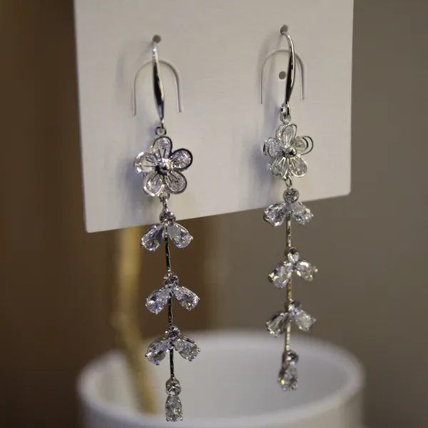 Silver_Premium_Stainless_Steel_Western_Earring_For_Women