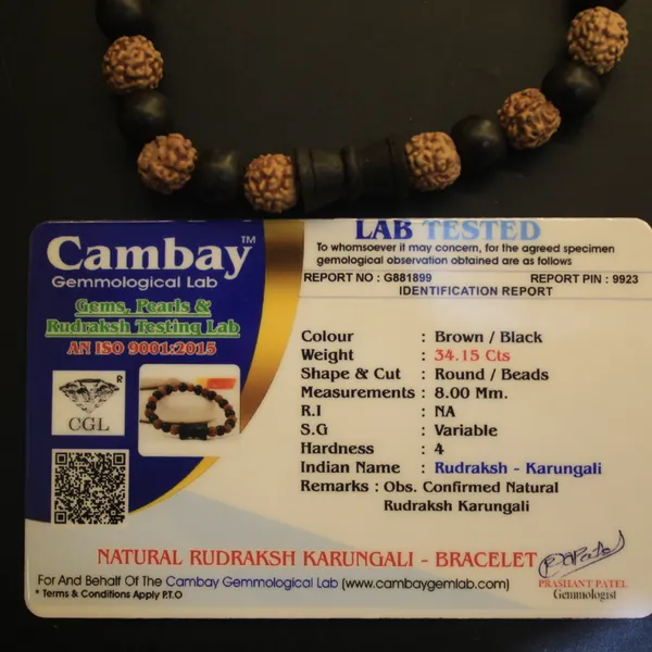Glimsy_Divine_Shield_-_Certified_Rudraksha_Karungali_Bracelet