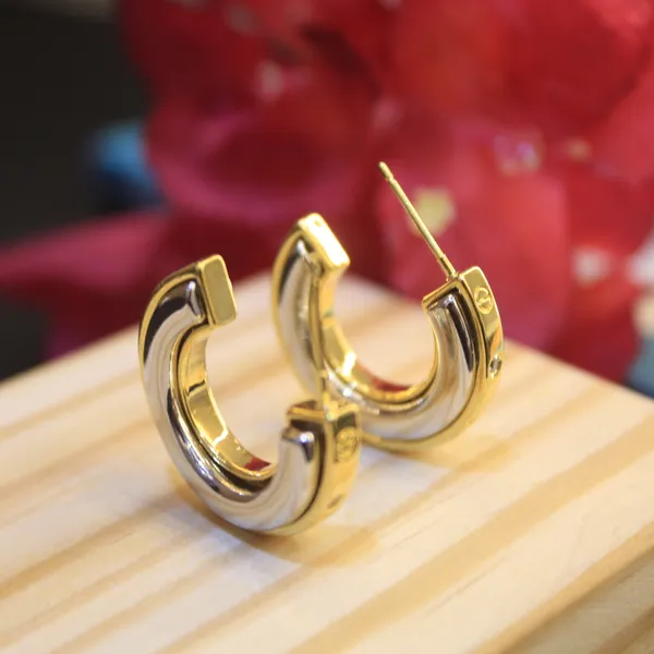 Alloy_Stylish_Western_Earing_For_Women