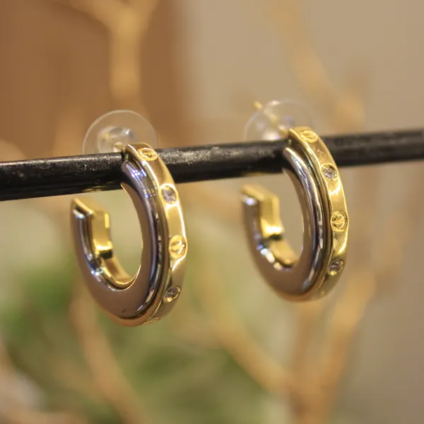 Alloy_Stylish_Western_Earing_For_Women