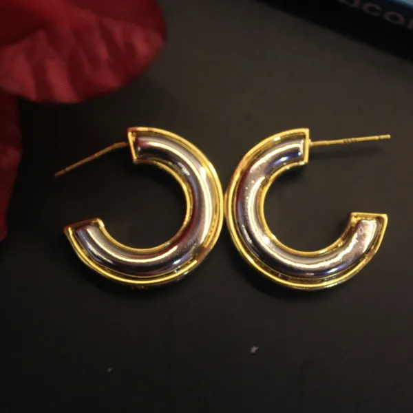 Alloy_Stylish_Western_Earing_For_Women