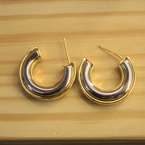 Alloy_Stylish_Western_Earing_For_Women