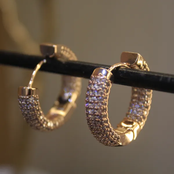 Alloy_Stylish_Western_Earing_For_Women