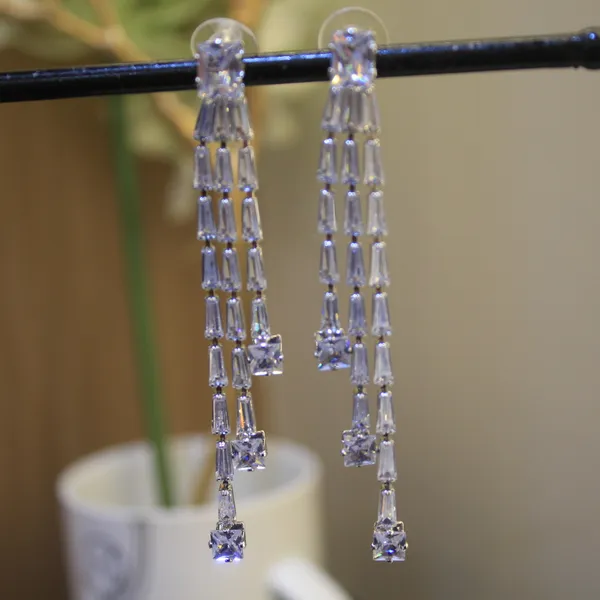 Silver_Premium_Stainless_Steel_Western_Earring_For_Women