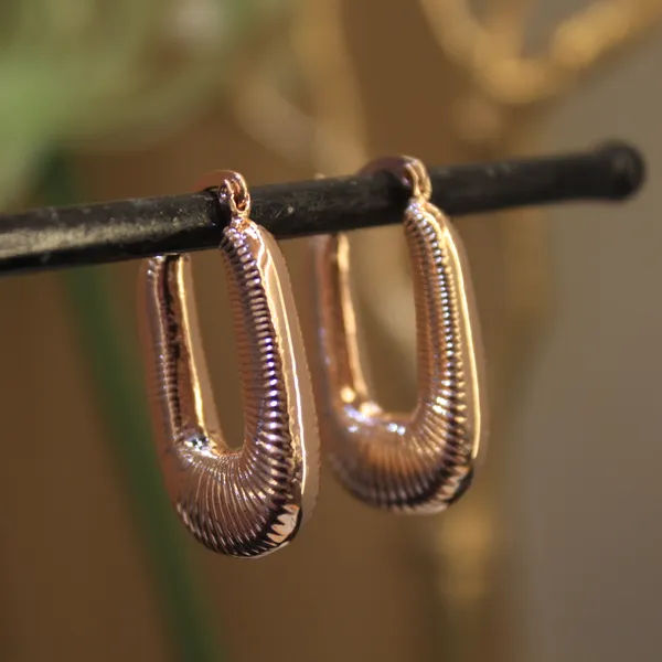 Alloy_Stylish_Western_Earing_For_Women