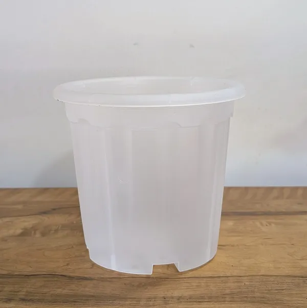 8_Inches_Transparent_Pots_For_Root_&_Water_Monitoring