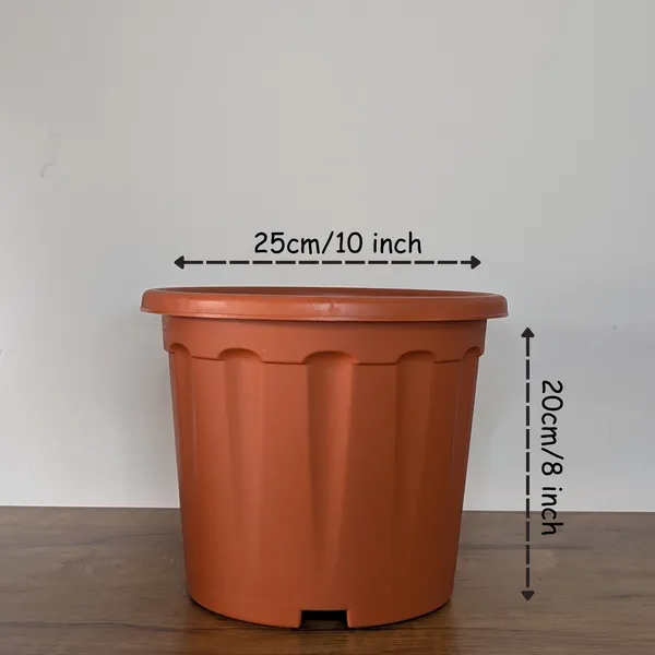 Pro_Nursery_Pot_UV_Resistant__In_Brown_Pot