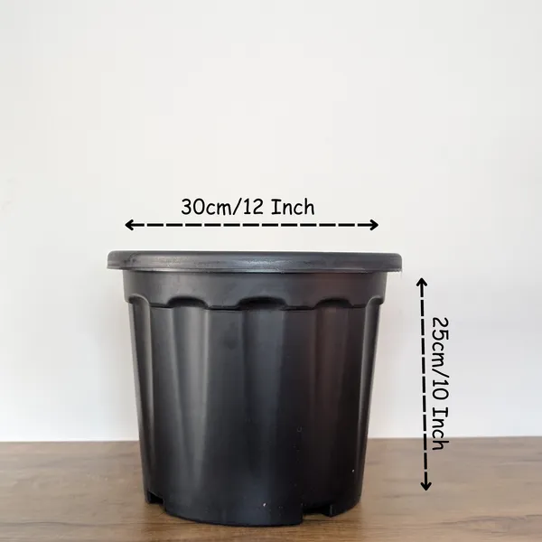 Pro_Nursery_Pot_UV_Resistant__In_Black