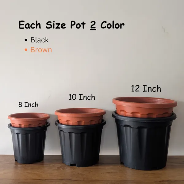 Pro_Nursery_Pot_UV_Resistant__In_Black