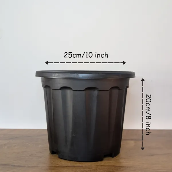 Pro_Nursery_Pot_UV_Resistant__In_Black