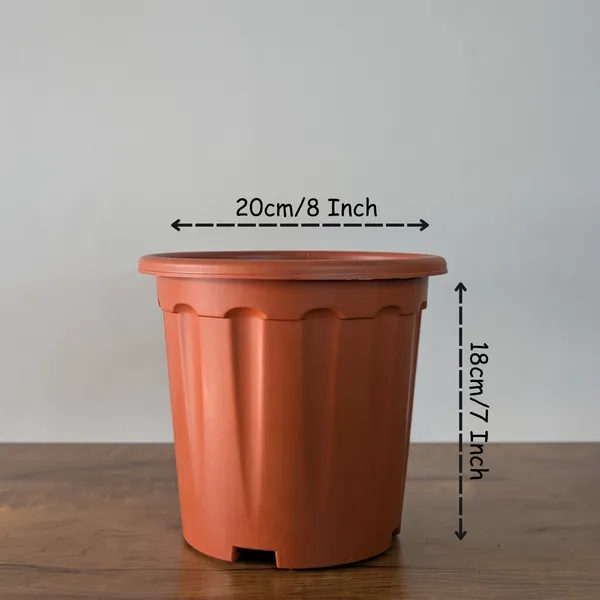 Pro_Nursery_Pot_UV_Resistant__In_Brown_Pot