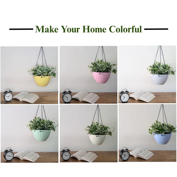 Hanging_9_(9_Inches,_Pack_Of_6),_6_Color_Pots