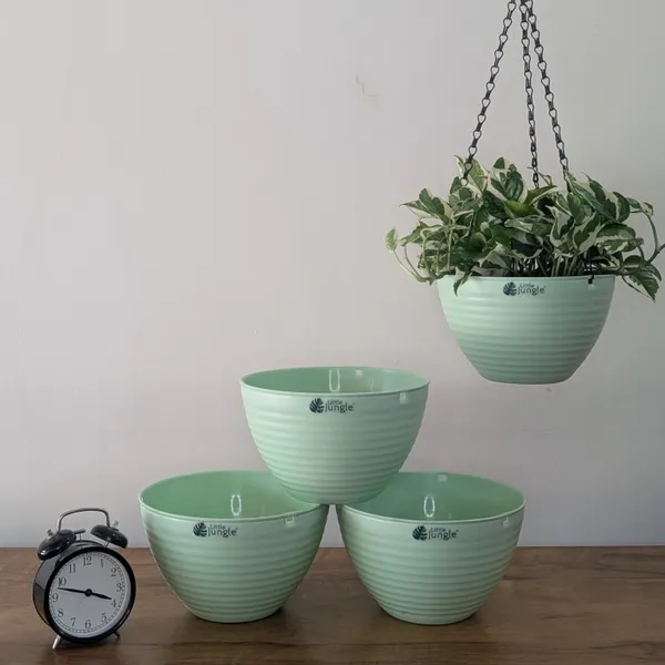 Hanging_9_Green_(Pack_Of_4)