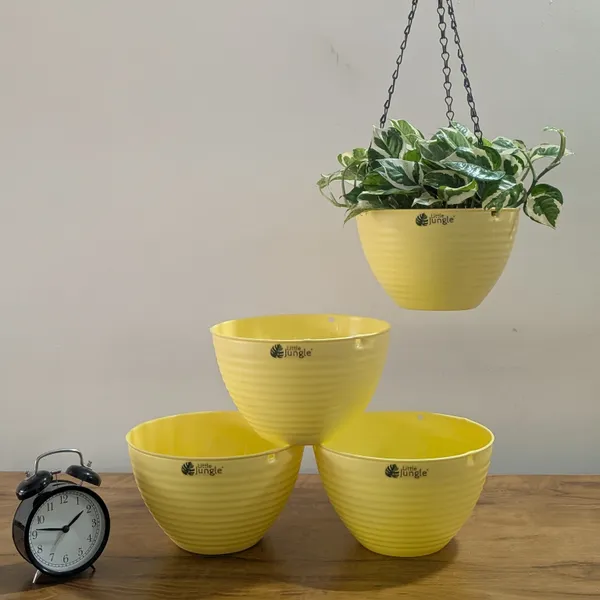 Hanging_9_Yellow_(Pack_Of_4)