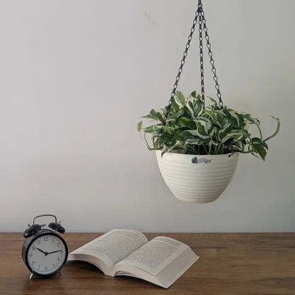 Hanging_9__Pots__(Pack_Of_4)