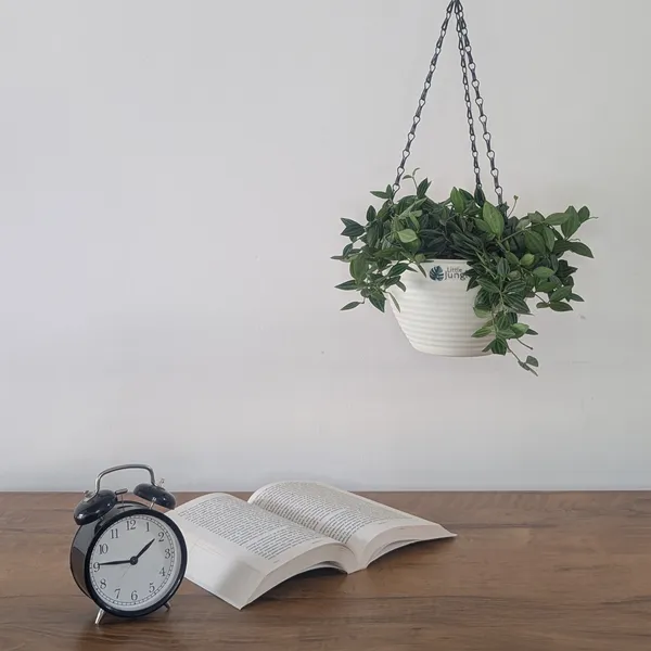 Hanging_7_(Pack_Of_4)