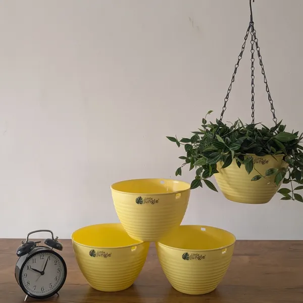 Hanging_7_Yellow_(Pack_Of_4)