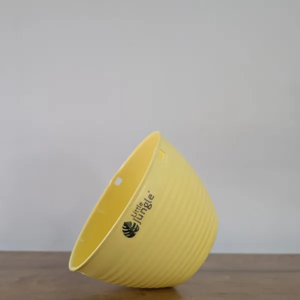 Hanging_7_Yellow_(Pack_Of_4)