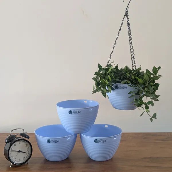 Hanging_7_Bule_(Pack_Of_4)