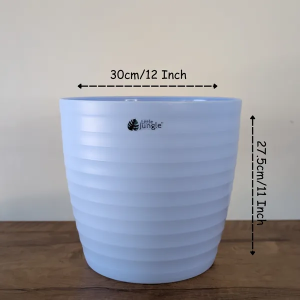 Decor_12_Blue_(_Pack_Of_4)