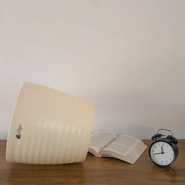 Decor_12_Beige_(_Pack_Of_4)