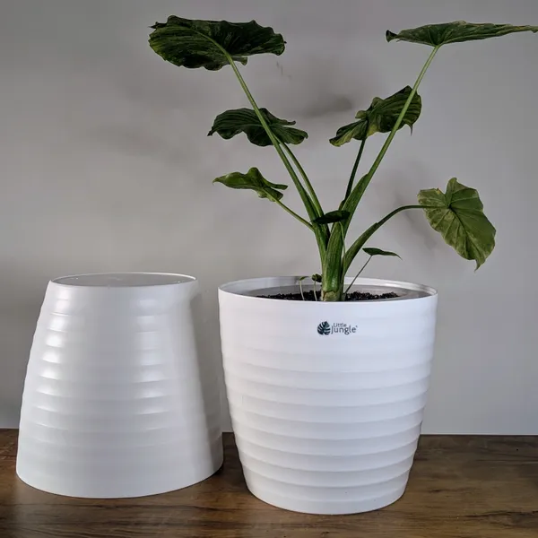 Decor_Pot(_Pack_Of_4)