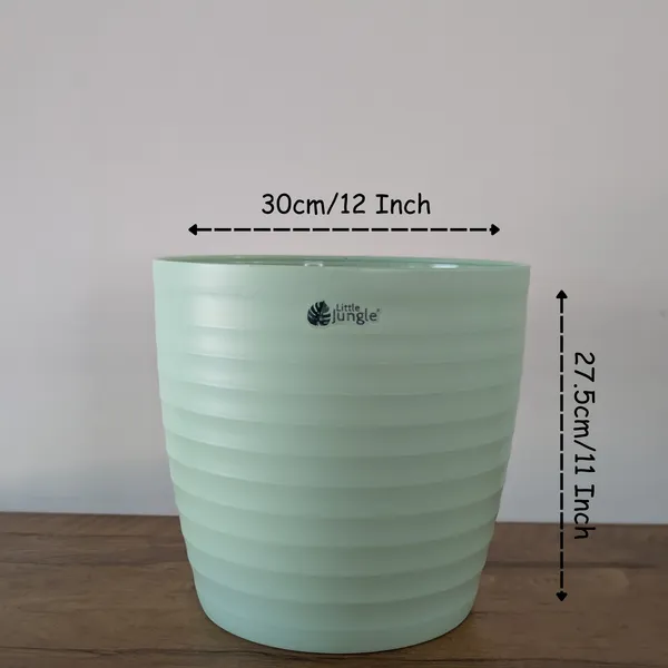 Decor_12_Green_(_Pack_Of_4)