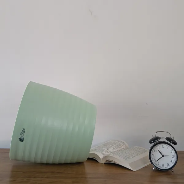 Decor_12_Green_(_Pack_Of_4)