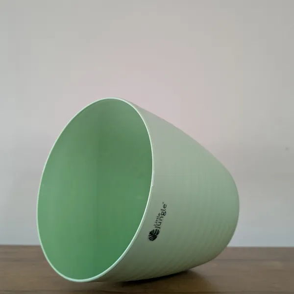 Decor_10_Green_(Pack_Of_4)