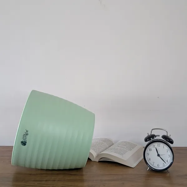 Decor_10_Green_(Pack_Of_4)
