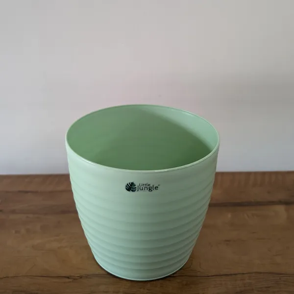 Decor_10_Green_(Pack_Of_4)