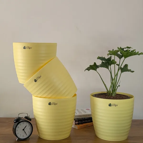 Decor_10_Yellow__Pots_(Pack_Of_4)_(Plant_Not_Included)