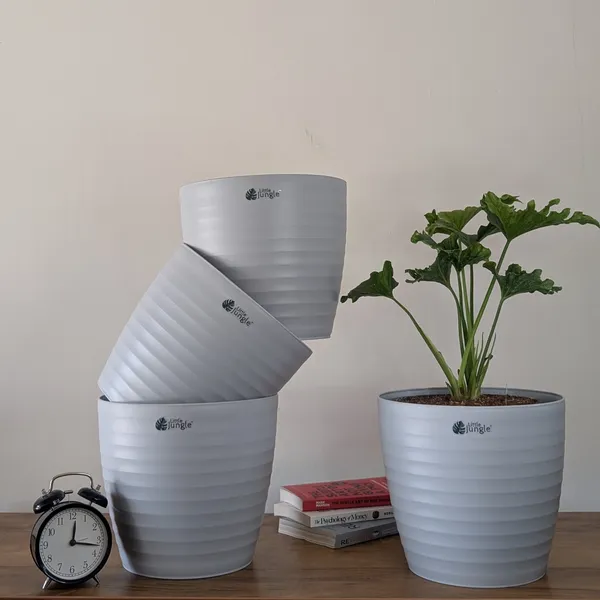 Decor_10_Grey_(Pack_Of_4)