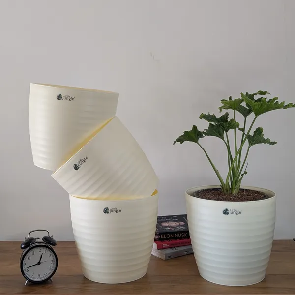 Decor_10_Beige_Pots_(Pack_Of_4)_(PLants_Not_Included)