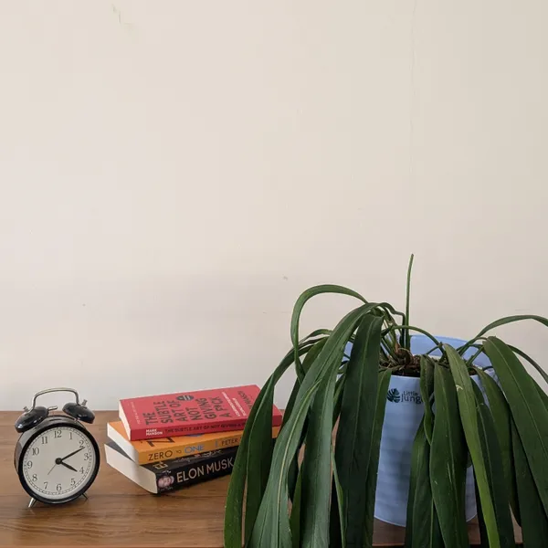 Decor_8_Blue_Pots_(Pack_Of_4)_(Plants_Not_Included)