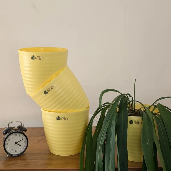 Decor_8_Yellow_pots_only__(Pack_Of_4)_(Plant_Not_Included)