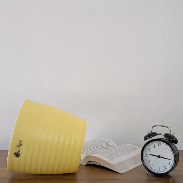 Decor_8_Yellow_pots_only__(Pack_Of_4)_(Plant_Not_Included)