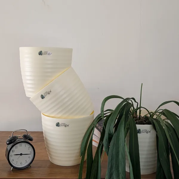 Decor_Pot_(Pack_Of_4)