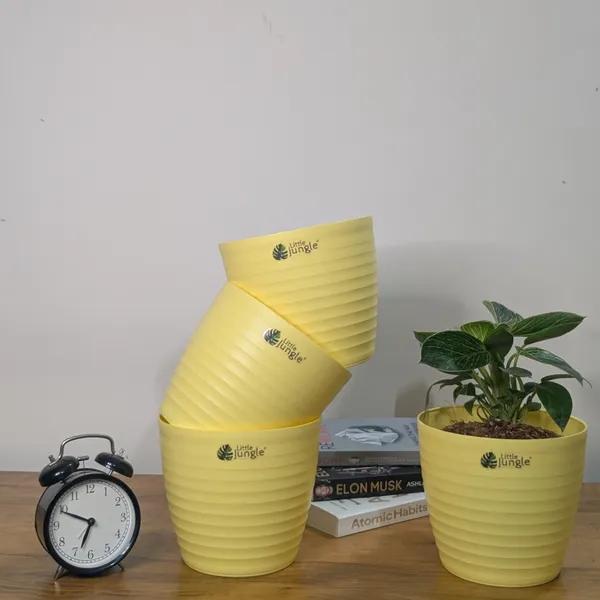 Decor_7_Yellow_Pot_(Pack_Of_4)_(Plant_Not_included)