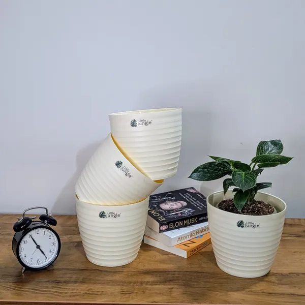 Decor_Pot(Pack_Of_4)