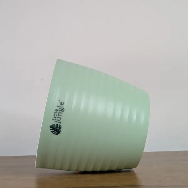 Decor_Pot(Pack_Of_4)
