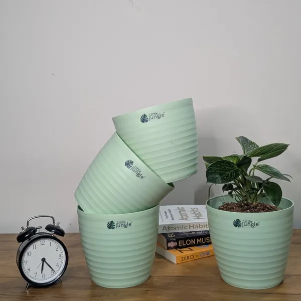Decor_Pot(Pack_Of_4)