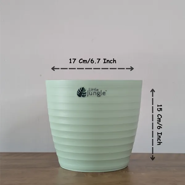 Decor_Pot(Pack_Of_4)