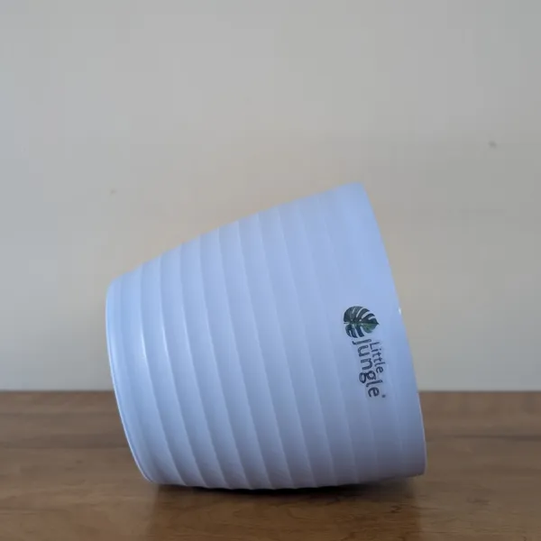Decor_Pot(Pack_Of_4)