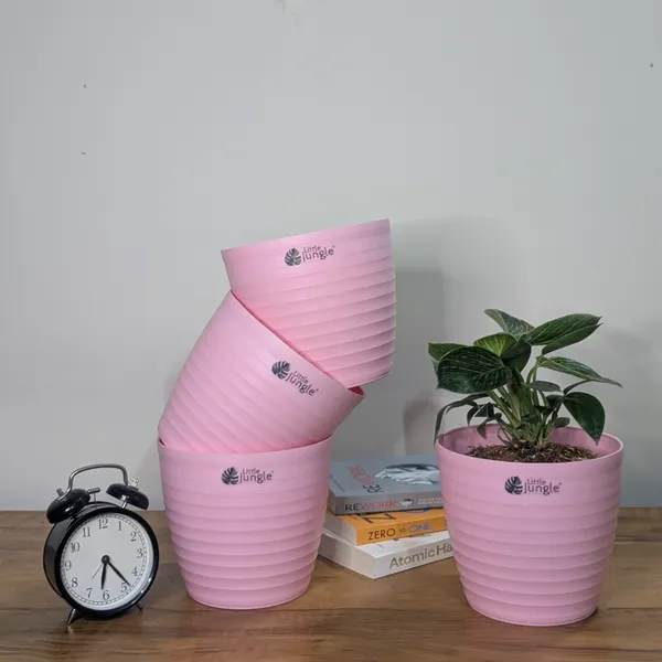 Decor_7_Pink_Pot(Pack_Of_4)_(Plant_not_included)