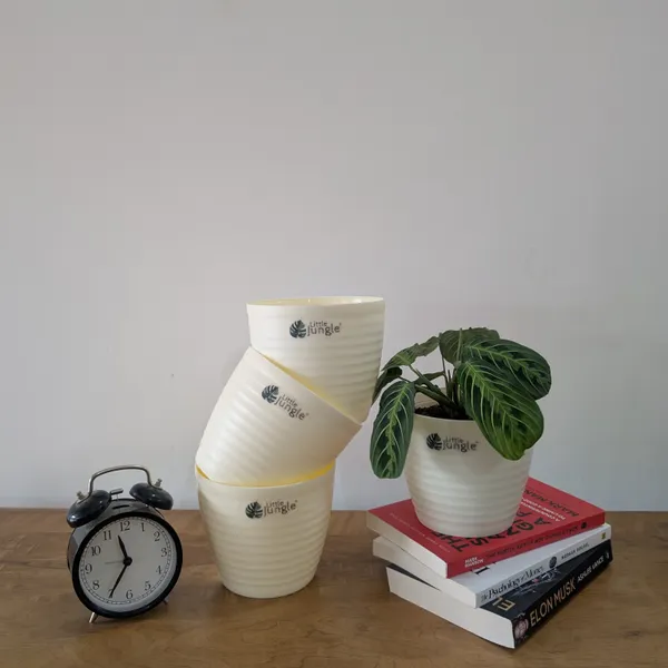 Decor_Beige_Pot(Pack_Of_4)