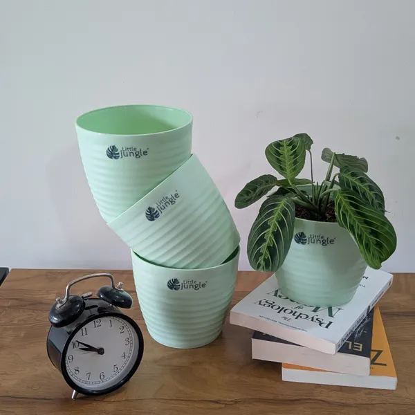 Decor_Green_Pot_(Pack_Of_4),