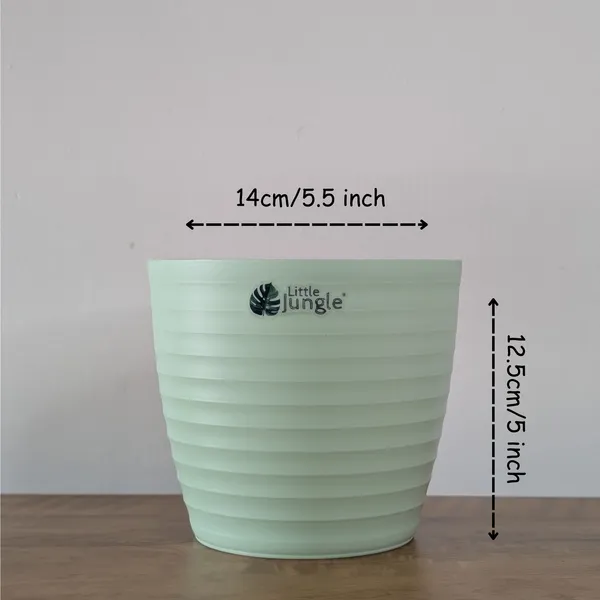 Decor_Green_Pot_(Pack_Of_4),