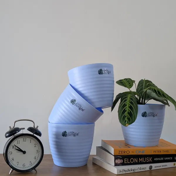 Decor_Bule_Pot(Pack_Of_4),