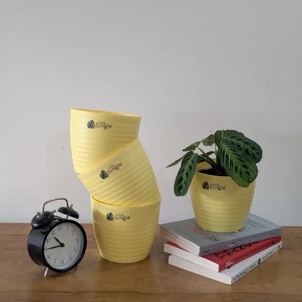 Decor_Pot_(Pack_Of_4),